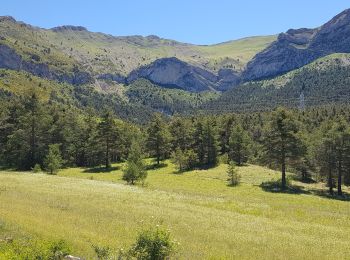 Excursión Senderismo Demandolx - castellane demandolx - Photo