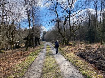 Randonnée Marche Eupen - Hautes Fagnes hohes Venn 20 km - Photo