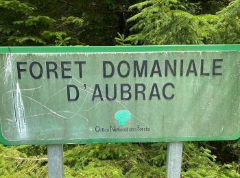 Randonnée Marche Curières - Cascade du devèz et fosse à loup - Photo