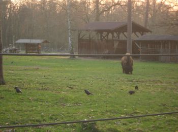 Tocht Te voet Onbekend - Rundweg 3, Dünenweg - Photo