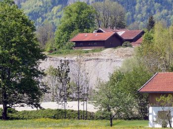 Percorso A piedi Fischbachau - Wanderweg 597 - Fischbachau - Photo