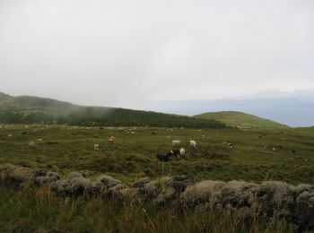 Tour Zu Fuß Prainha - Caminho dos Burros - Vertente Norte - Photo