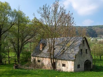 Tocht Te voet Pretzfeld - Rundweg Unterzaunsbach-Hundshaupten - Photo