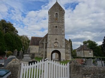 Tour Zu Fuß Barou-en-Auge - Circuit de la Trappe au Loup - Photo