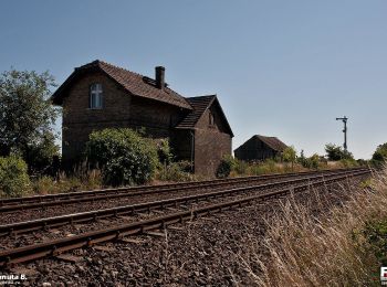 Tocht Te voet Santok - Gorzów - Santok - Photo