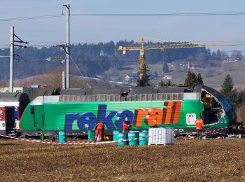 Tour Zu Fuß Rafz - Rafz Bahnhof - Lottstetten - Photo