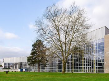 Tour Zu Fuß  - Doppelbalken Krefeld Rheinstraße - Bockum - Photo