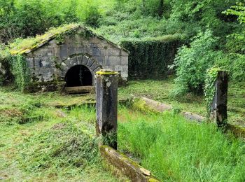 Percorso Marcia Ferrières-les-Bois - ferrières - Photo