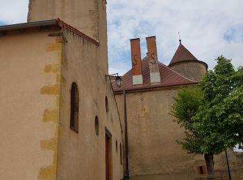 Tour Wandern Oyé - Rando GRS Grande à OYE - Photo