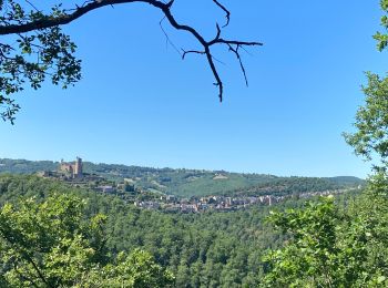 Randonnée Marche Najac - Du vvf à l’Aveyron  - Photo