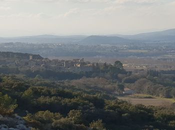 Tocht Stappen Saint-Siffret - garrigue st siffret - Photo