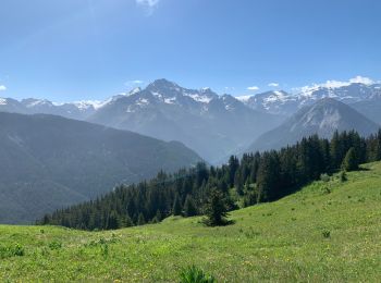 Randonnée Marche Bozel - Mon Jovet - Photo