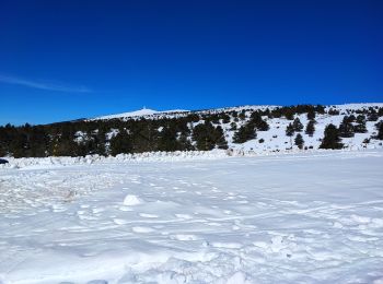 Excursión Raquetas de nieve Bédoin - Raquettes Chalet Reynard  - Photo