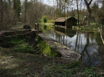 Percorso Marcia Briarres-sur-Essonne - Orville - Photo