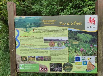 Trail Walking Modave - boucle Romont par la réserve naturelle du Thiers de Croix - Photo