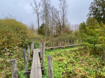 Tour Wandern Geraardsbergen - Gavers Nuchten 16 km - Photo
