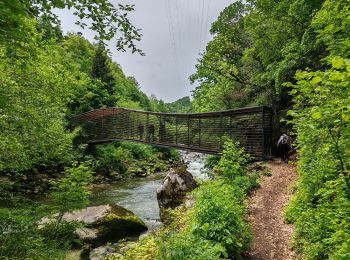 Tour Wandern Boudry - 12-Gorges de l'Areuse - Photo