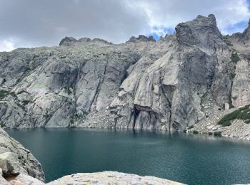 Tour Wandern Corte - Gorges de la Restonica -Lac de Melu et Capitello - Photo