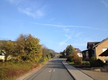 Tour Zu Fuß Liebenau - Liebenau - Li1 - Photo