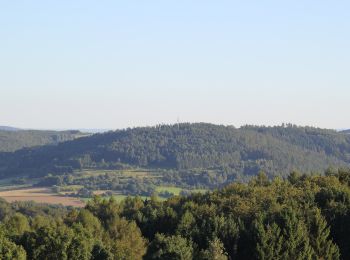 Percorso A piedi Krombach - Ortswanderweg Mömbris 1 - Photo