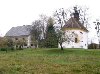 Excursión A pie Eibiswald - Weingarten-Tour - Photo