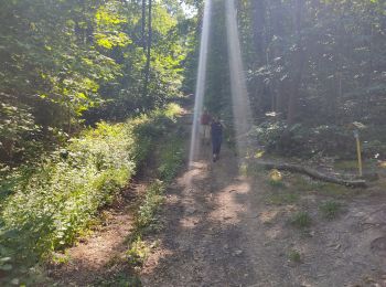 Tour Wandern Clamart - Meudon - Photo