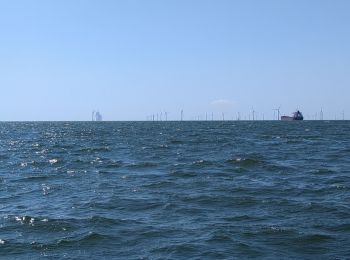 Tocht Zeilboot Les Sables-d'Olonne - Turballe retour - Photo