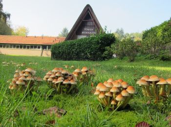 Randonnée A pied Rheden - Beekhuizen Keienberg Veluwezoom - Photo