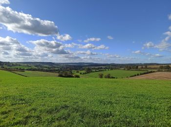 Tocht Noords wandelen Rouvroy - Couvreux - Photo