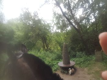 Randonnée Randonnée équestre Neupré - menhir - Photo