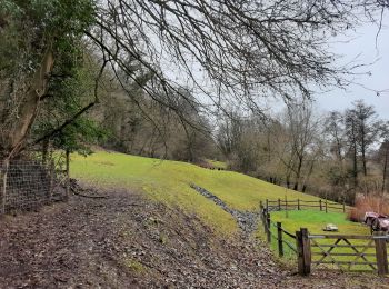 Excursión Senderismo Engis - Hermalle-sous-Huy : boucle de la Gérée (longue) - Photo