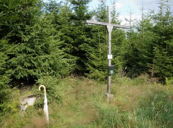 Randonnée A pied Drolshagen - Drolshagen Rundweg (D) - Photo