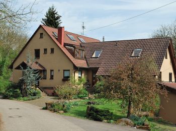 Trail On foot Ditzingen - DE-Leonberg-Höfingen Glaunhalde - Talmühle - Photo