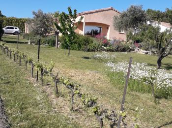 Randonnée Vélo de route Montjoyer - vel 08 05 21 - Photo