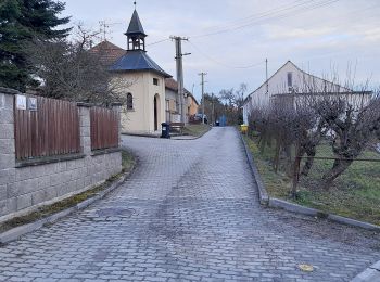 Percorso A piedi Brno - Gangloffova cesta - Photo