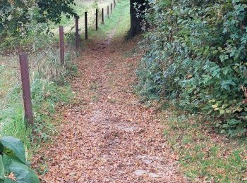 Percorso Marcia Burdinne - burdinne - Photo