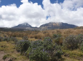 Excursión Senderismo Parroquia El Chaupi - montée au refuge Nuevos horizontes - Photo