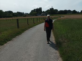 Tour Wandern Gooik - paddenbroek-kesterheide - Photo