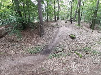 Percorso A piedi Alzenau - Freigerichter Bund Alzenau 3 - Photo