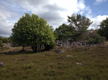 Tocht Te voet Onbekend - Gång-löpstig 5,2 km - Photo