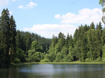 Tocht Te voet Harz (LK Goslar) - Großer Rundweg Hohegeiß - Photo