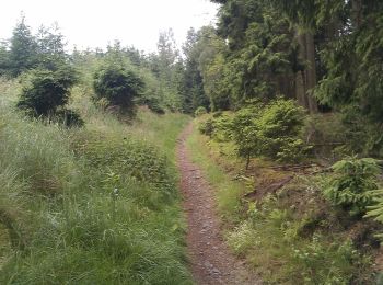 Randonnée A pied Möhnesee - Günner Hude Rundweg A4 - Photo