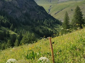 Randonnée Marche Abriès-Ristolas - pré Roubaud - Photo