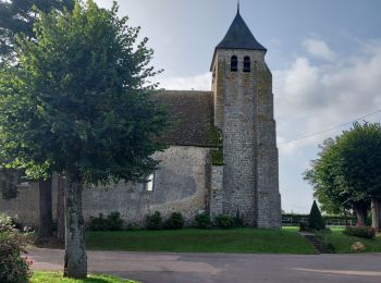 Tour Rennrad Paron - 157 O90 Saint-Valérien-01 - Photo