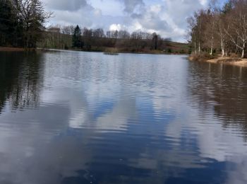 Trail Walking Saint-Nabord - la demoiselle  - Photo