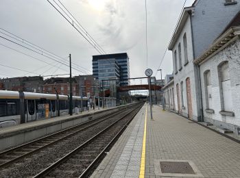 Percorso Marcia Woluwe-Saint-Lambert - Sint-Lambrechts-Woluwe - Woluwe St Lambert dumont Place de la gare Berchem 17,5 km - Photo