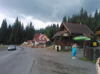 Tour Zu Fuß  - Pasul Bucin - Vf. Saca Mare - Photo