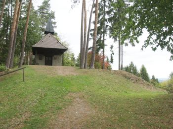 Tocht Te voet Schnaittenbach - Rundwanderweg Buchberg - Photo