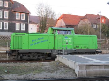 Excursión A pie Einbeck - Dicke Buchen Weg - Photo