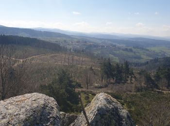 Tour Wandern Pradelles - Marche rapide Pradelles  - Photo